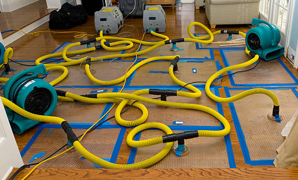 Professional Structural Drying And Dehumidification technician working in Raleigh, WV